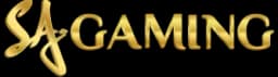 Provider-sa_gaming